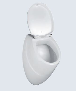 Design Urinal Zulauf von hinten, Abgang nach hinten, weiß, mit Deckel